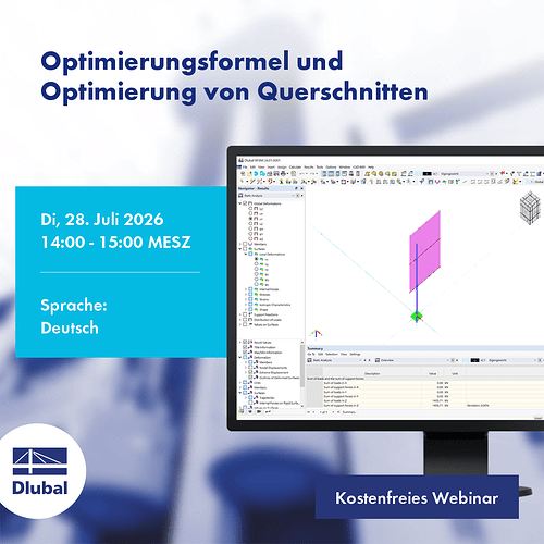 Image_1_Webinar_Optimization_EN
