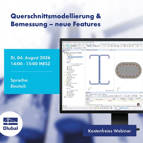 Image_1_Webinar_RSECTION_DE